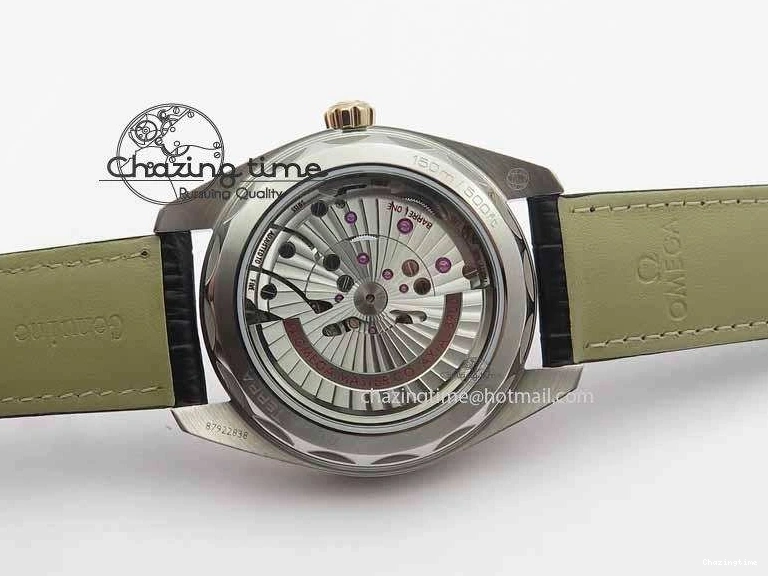 0509 2017 Aqua Terra SS RG XF Best Edition White Textured Dial On Black Leather Strap A Functional 8157